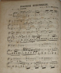 Fugitive hirondelle