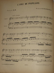 L'aile du papillon