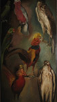 Etude d'oiseaux